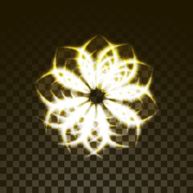 Vektör saydam resim. Çiçek ışık ışınlarının.