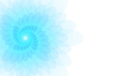 Beyaz arka planda güzel bir çiçek.