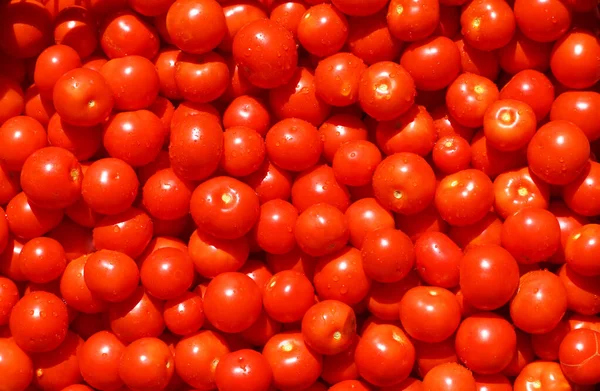 Fondo Verano Verduras Tomates Rojos — Foto de Stock