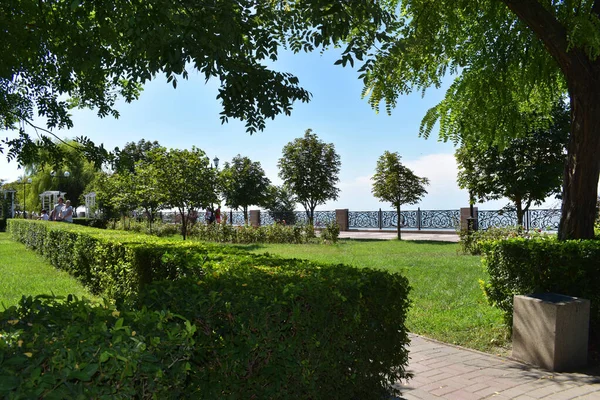 Deniz kenarındaki yeşil yaz parkı