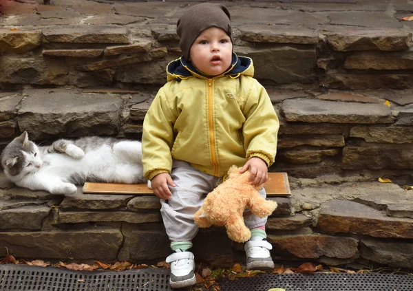 秋におもちゃの散歩をする子供 — ストック写真