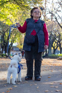 Parkta küçük bir köpek gezdiriyorum.
