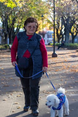 Yaşlı bir kadın köpeğini meydanda gezdirir.