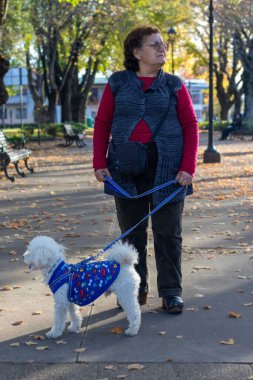 Yaşlı bir kadın köpeğiyle parkta yürüyor.