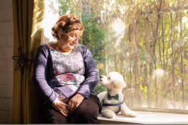 Yaşlı bir kadın ve köpeği birbirlerine bakıyorlar.