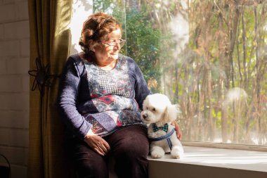 Yetişkin bir kadın ve köpeği pencerede oturuyor.
