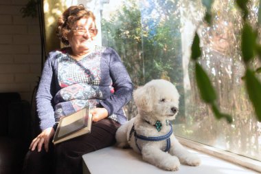 Latin büyükannesi ve evlerinin penceresinde oturan evcil hayvanı.