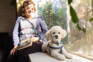 Küçük köpek yaşlı bayan sahibine eşlik eder.