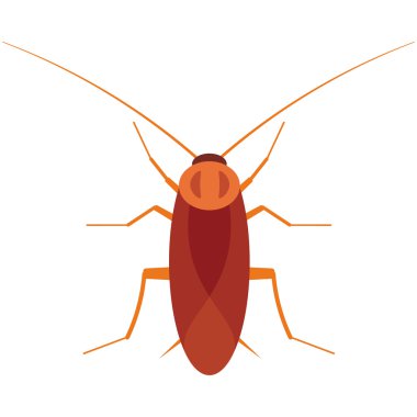 Hamamböceği vektör illüstrasyonu. Beyaz arka planda hamamböceği böceği. Hamamböceği vektörü. Hamamböceği illüstrasyonu. Hamamböceği izole vektör