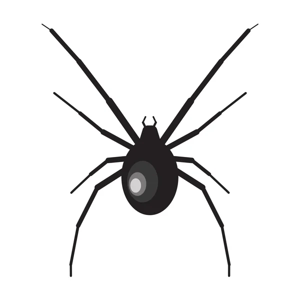 Εικόνα αράχνης μαύρης χήρας. Αράχνη σε λευκό φόντο. Διάνυσμα μαύρης χήρας. Εικονογράφηση αράχνης. Μαύρη χήρα αράχνη απομονωμένο διάνυσμα — Διανυσματικό Αρχείο