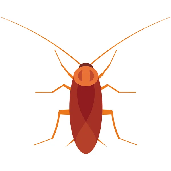 Cockroach vector illustration. Cockroach bug on white background. Cockroach vector. Cockroach illustration. Cockroach beetle isolated vector — Stock Vector