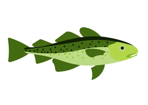 Cod fish vector illustration. Cod fish on white background. Cod fish vector. Cod fish illustration. Cod fish isolated vector. — Stock Vector