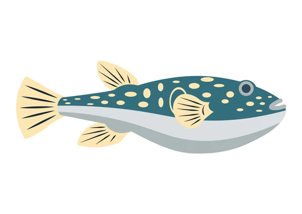 Ilustración de vectores planos de peces Fugu. Fugu pescado aislado sobre fondo blanco. Ilustración de vectores de peces Fugu. Peces Fugu aislados . — Vector de stock