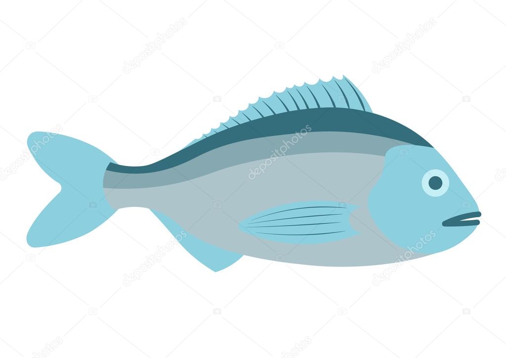 Dorado fish vector illustration. Dorado fish on white background. Dorado fish vector. Dorado fish illustration. Dorado fish isolated vector.