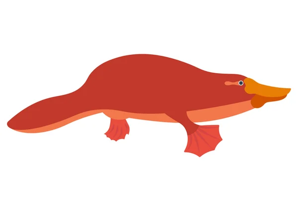 Platypus illustration duckbill character cartoon platypus vector. Platypus isolated on white background. Platypus vector  illustration. Platypus isolated vector. — Stock Vector