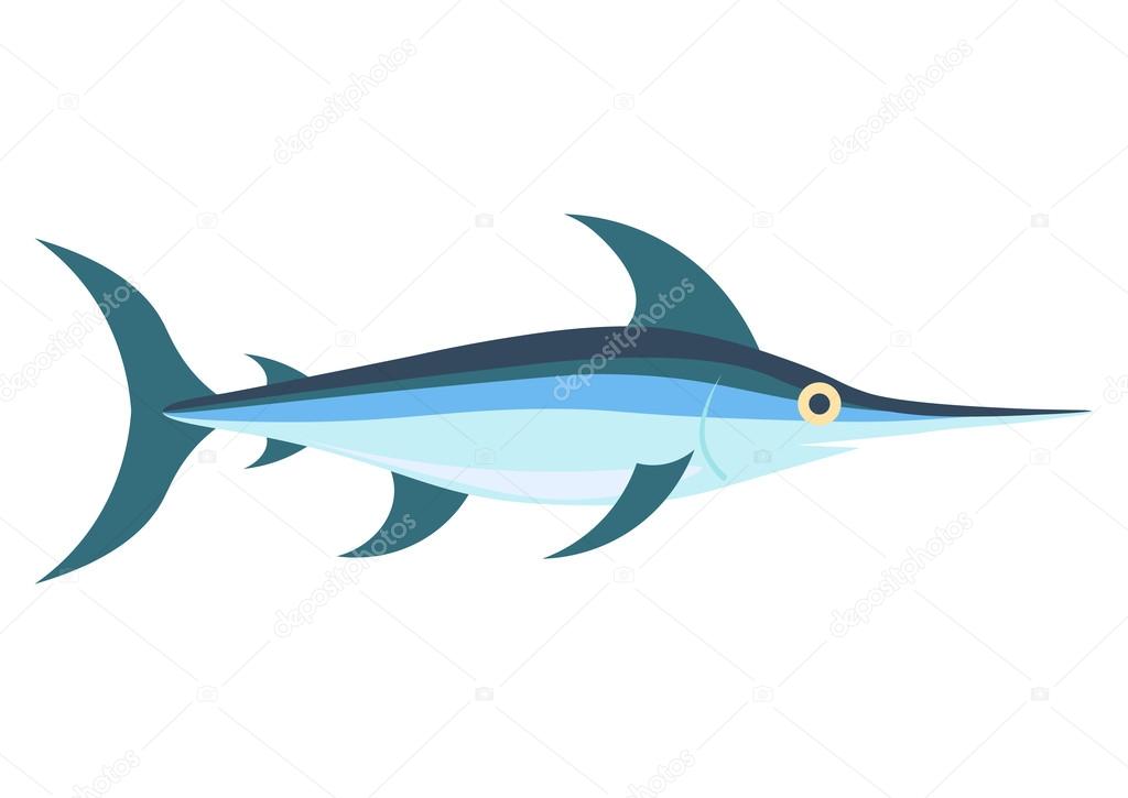 Swordfish vector, Isolated on white background
