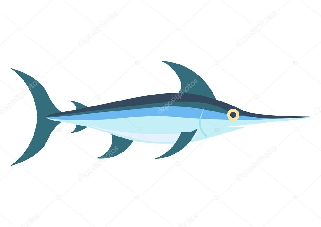 Swordfish flat vector, Isolated on white background