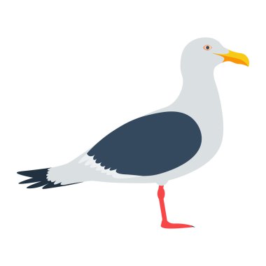 martı vektör çizim. Beyaz arka plan üzerinde martı kuşu. martı vektör. martı izole vektör.