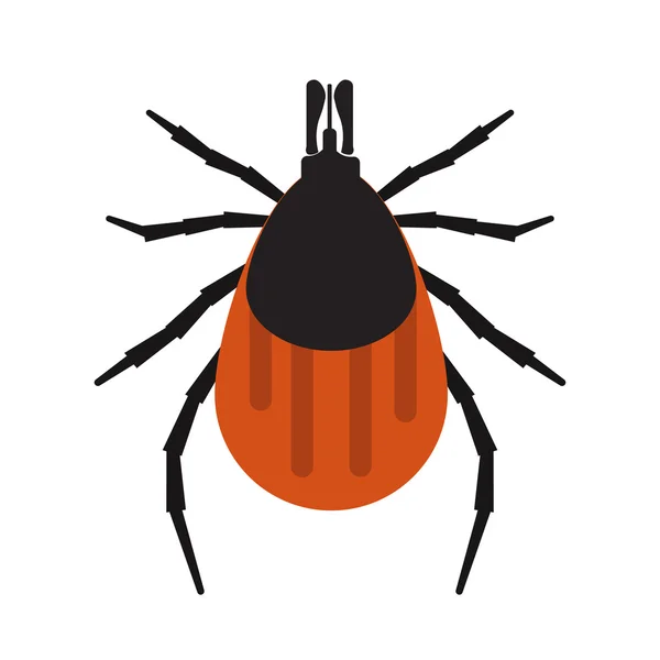 Mite hata vektör illüstrasyon. Mite beyaz arka planda izole. Parazit vektör illüstrasyonu. Parazit deri izole vektör.