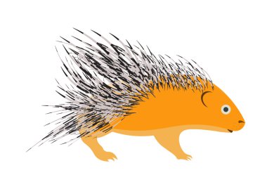 Beyaz arka plan üzerinde izole kirpi vektör illustration.porcupine.