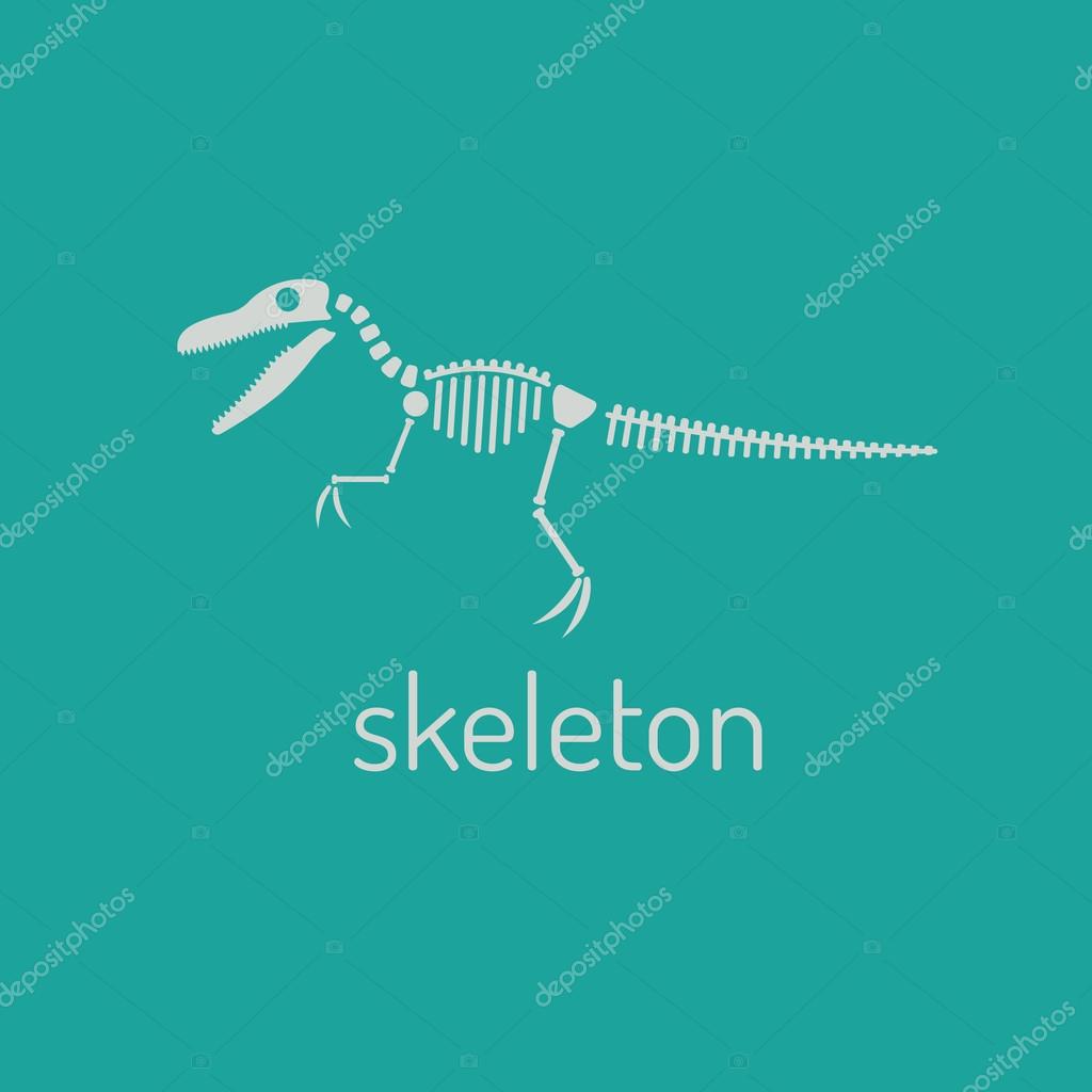 Dinosaur skeleton. velociraptor. Vector Image velociraptor skeleton isolated on green background.Can be used as logo. For flat illustrations