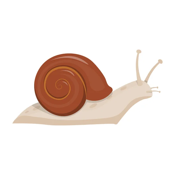 Niedliche Schnecke Cartoon Vektor Illustration. — Stockvektor