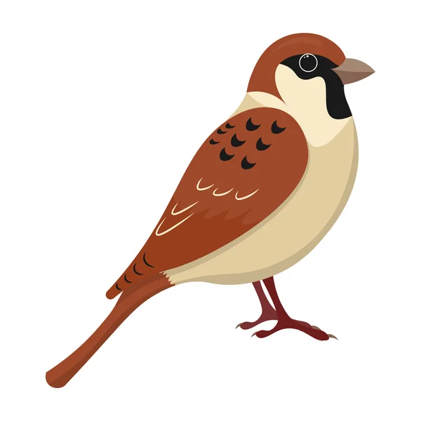 Söt Sparrow tecknad vektor illustration. — Stock vektor