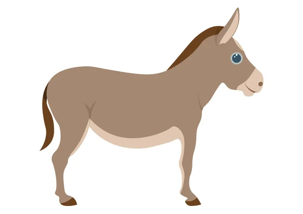 Desenho Animado Bonito Burro Burro Isolado Vetor Fundo Branco —  Vetores de Stock