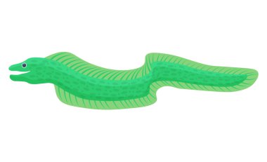 Moray balık illüstrasyon vektör.