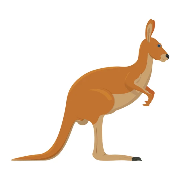 Kangaroo vector illustration isolated on a white background — Stock Vector