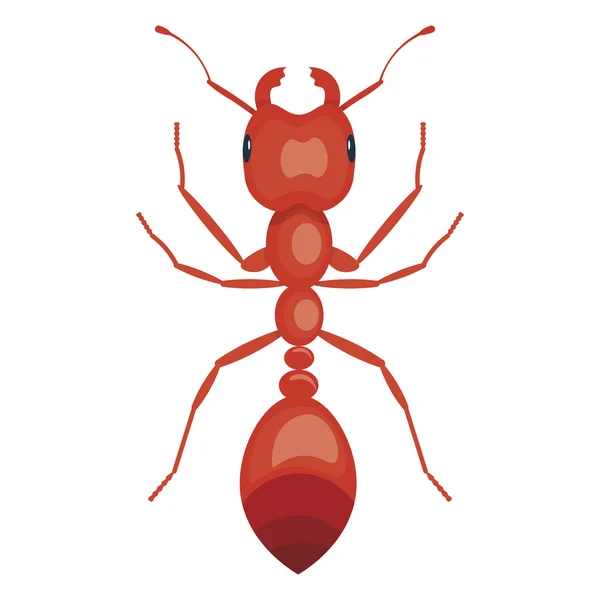 Illustrazione vettoriale delle formiche isolata su uno sfondo bianco — Vettoriale Stock