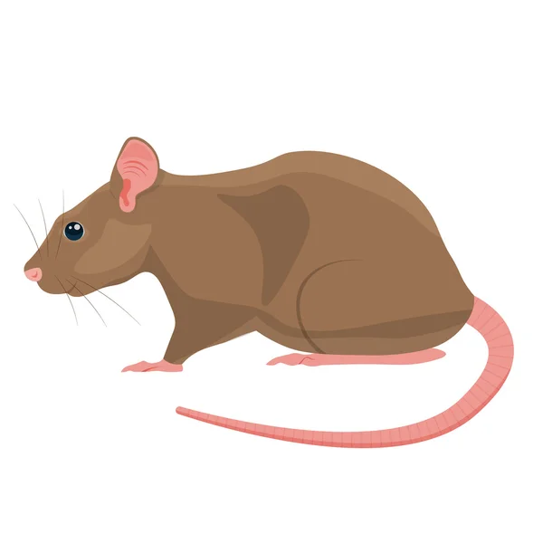 Beyaz arka planda yalıtılmış fare vektör illüstrasyonu