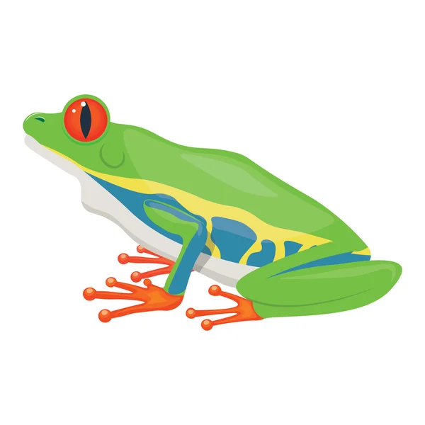 Little Tree Frog Vector Illustration Isolated White Background — Stock Vector