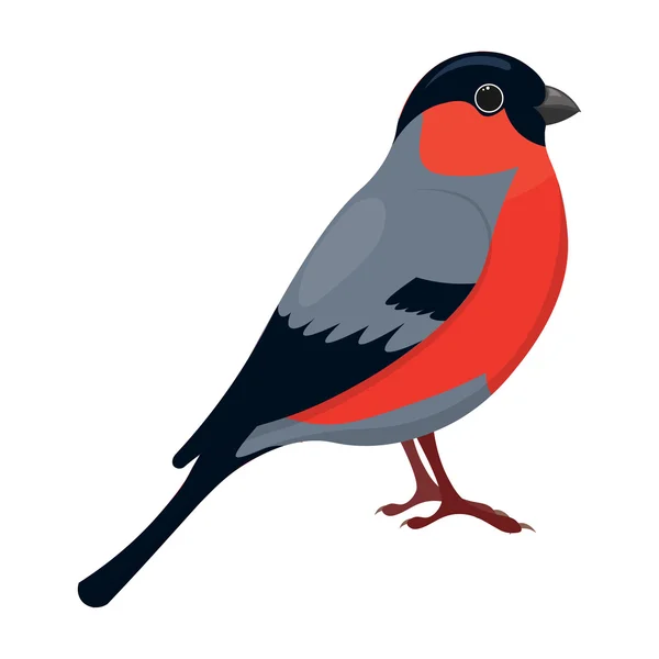 Dibujos Animados Bullfinch Vector Ilustración Aislado Sobre Fondo Blanco — Archivo Imágenes Vectoriales