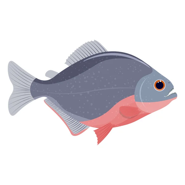 Piranha Fish Vector Illustration Isolated White Background — Stock Vector