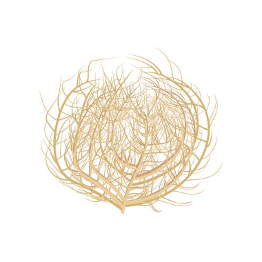 Tumbleweed vektör illüstrasyon . Beyaz arka planda tumbleweed. Tumbleweed izole vektör