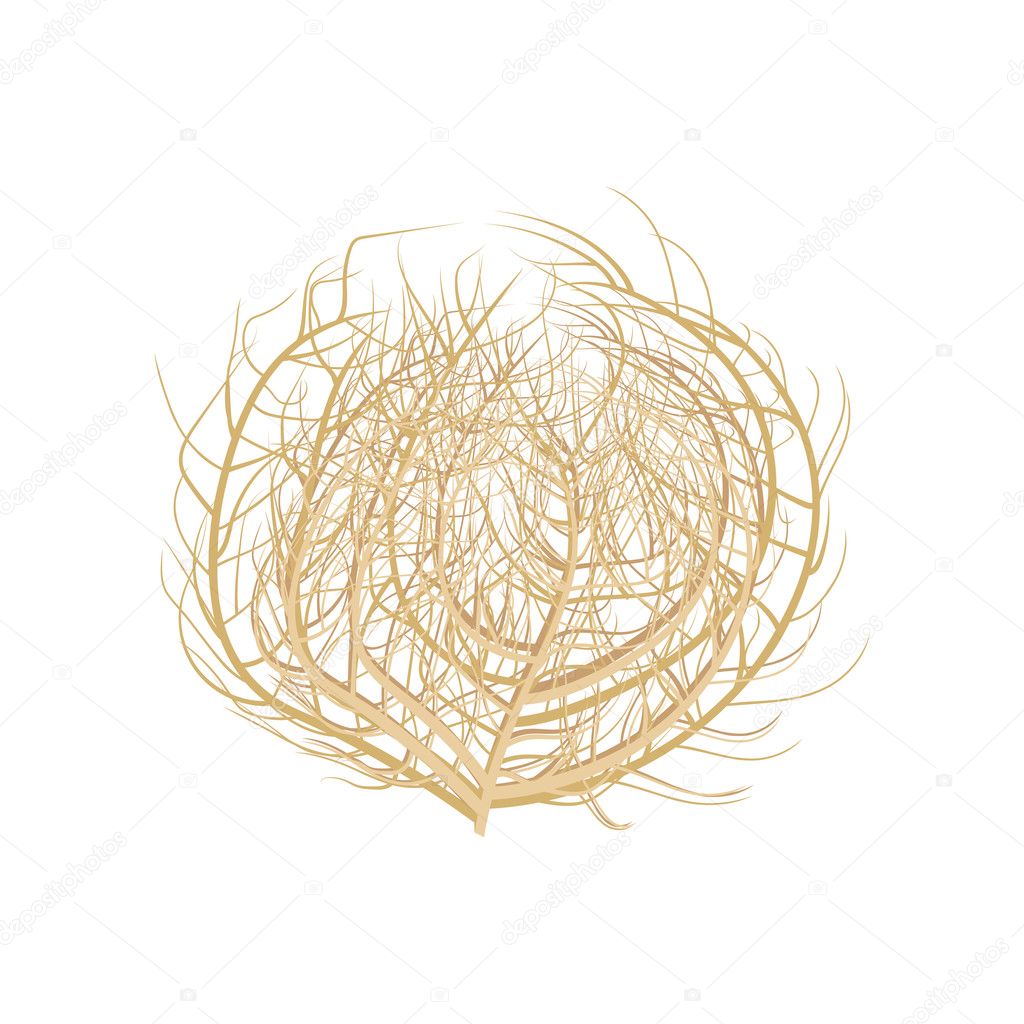 Tumbleweed vector illustration .Tumbleweed on white background. Tumbleweed  isolated vector