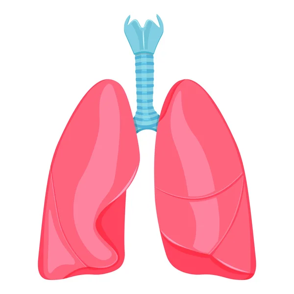 Ilustración del vector pulmonar humano aislado sobre fondo blanco — Vector de stock