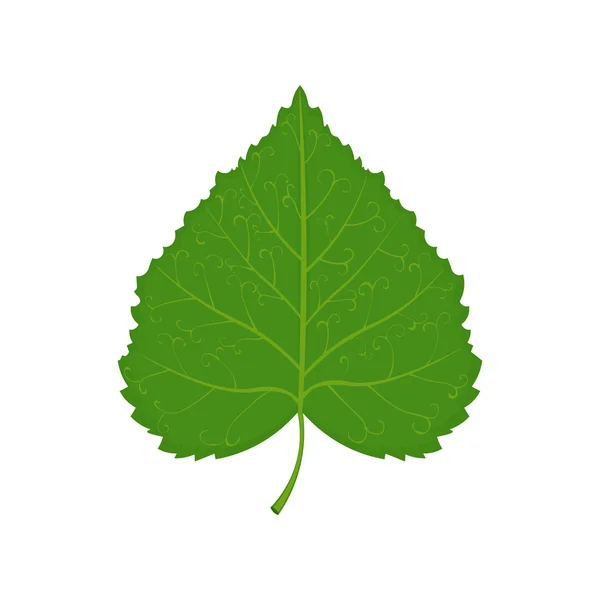 白い背景に分離された緑リンデン リーフ ベクトル図 — ストックベクタ
