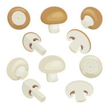 Taze champignon mantar set vektör illüstrasyon izole onwite arka plan