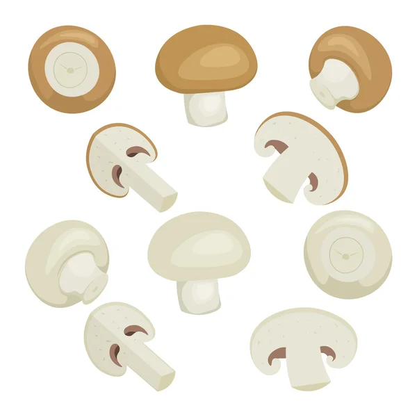 Frische Champignon Pilze Set Vektor Illustration isoliert onwite Hintergrund — Stockvektor