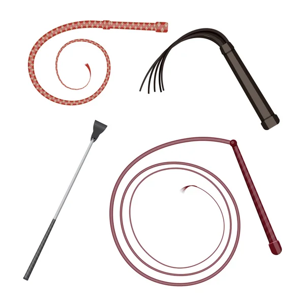 kırbaç vektör illüstrasyon izole beyaz arka plan üzerinde ayarla