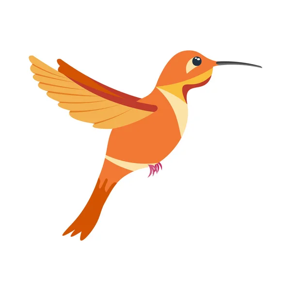 Un colorido colibrí brillante, un pájaro pintado en varios colores rojo anaranjado. Ilustración vectorial aislada sobre fondo blanco. — Archivo Imágenes Vectoriales