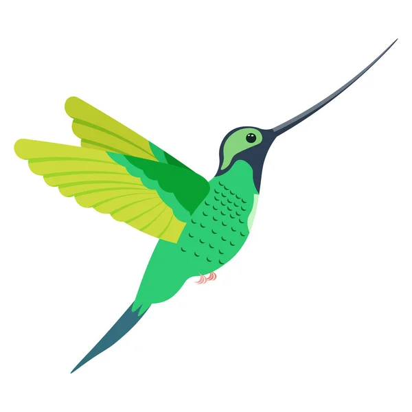 밝고 다양 한 색깔의 벌새, 녹색의 여러 가지 색으로 칠 해진새. 흰 배경에서 분리 된 벡터 그림. — 스톡 벡터