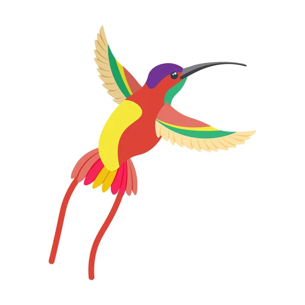 Яркий разноцветный колибри, птица, окрашенная в несколько цветов красный зеленый оранжевый. Векторная иллюстрация на белом фоне. — стоковый вектор