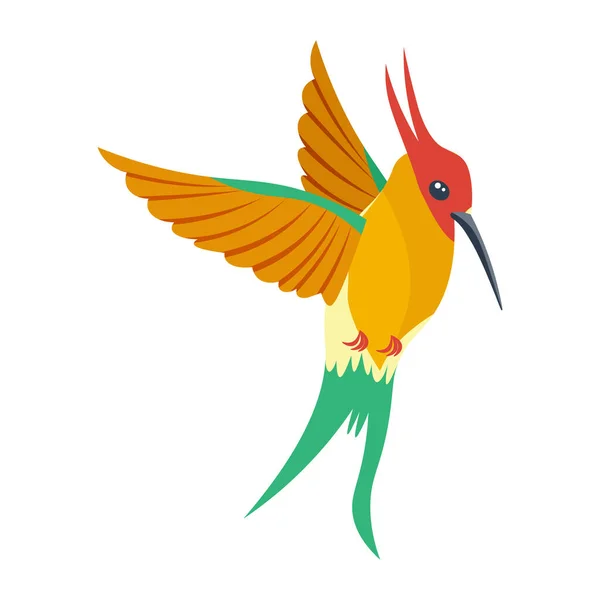 Яркий разноцветный колибри, птица, окрашенная в несколько цветов красный зеленый оранжевый. Векторная иллюстрация на белом фоне. — стоковый вектор