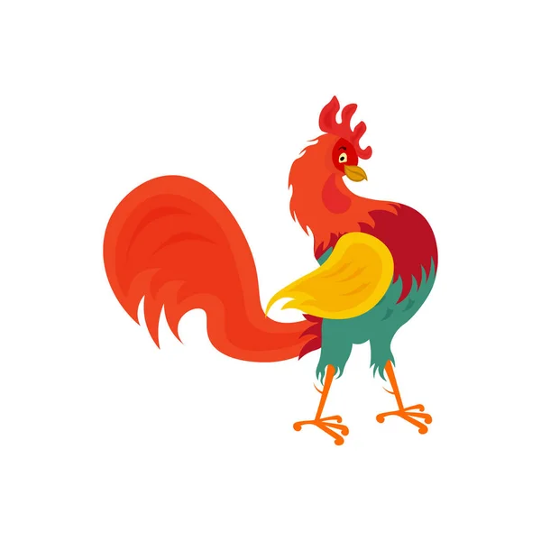 Un hermoso gallo de color brillante está de pie sobre sus patas. Una polla orgullosa en estilo de dibujos animados. Ilustración vectorial aislada sobre fondo blanco. — Archivo Imágenes Vectoriales