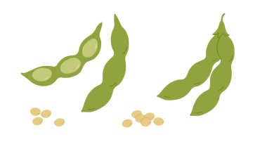 Soya fasulyesi ve tohum. Edamame fasulyesi. İzole edilmiş arka planda vektör illüstrasyonu. Çizgi film tarzında yeşil soya taneleri. Tasarım, etiket, logo, kart, işaret için yiyecek çizimi