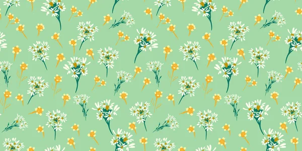 Beyaz papatyalar ve yumuşak yeşil arka planda sarı kır çiçekleri olan kusursuz vektör deseni. Kumaş, duvar kağıdı, ambalaj, dekor için taze çayır tasarımı