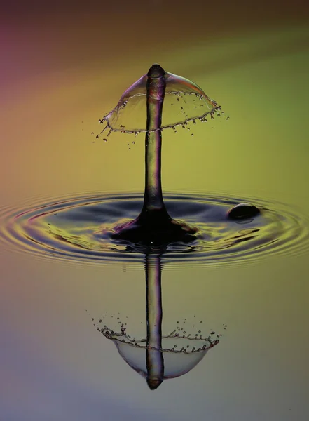 한 방울의 물 (착 색) — 스톡 사진